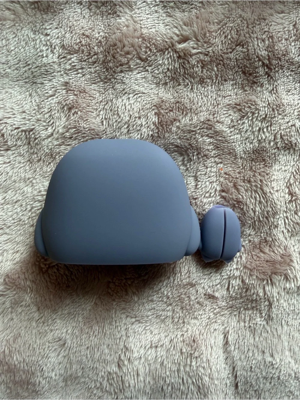 Charger case cover